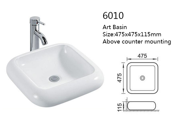 6010