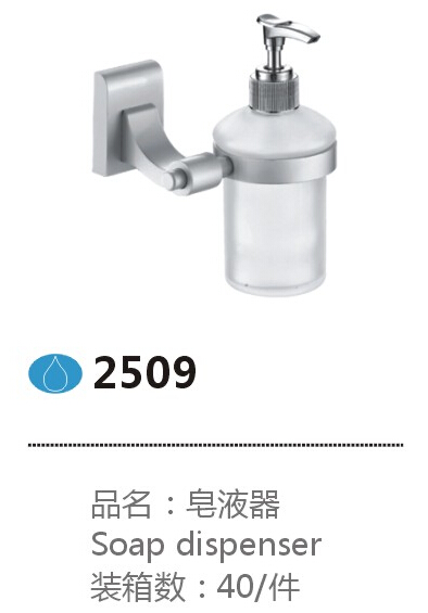 2509