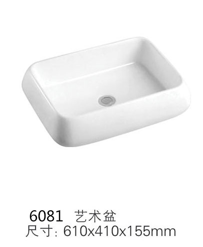 6081