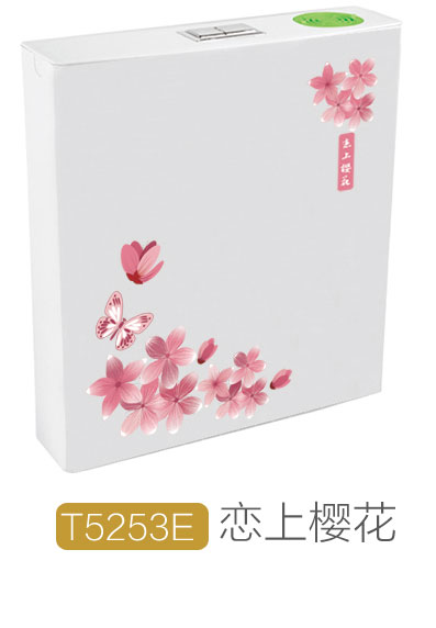 T5253E